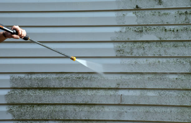 Best Roof Cleaning and Mildew Removal in Hazel Park, MI
